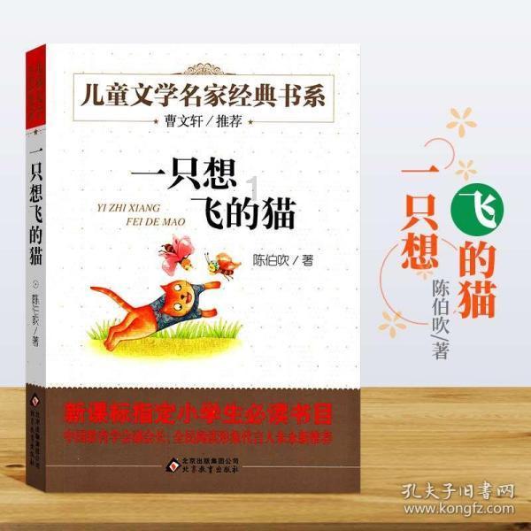 年轻人经常掉头发的原因是什么呢？吃什么食物能够缓解？